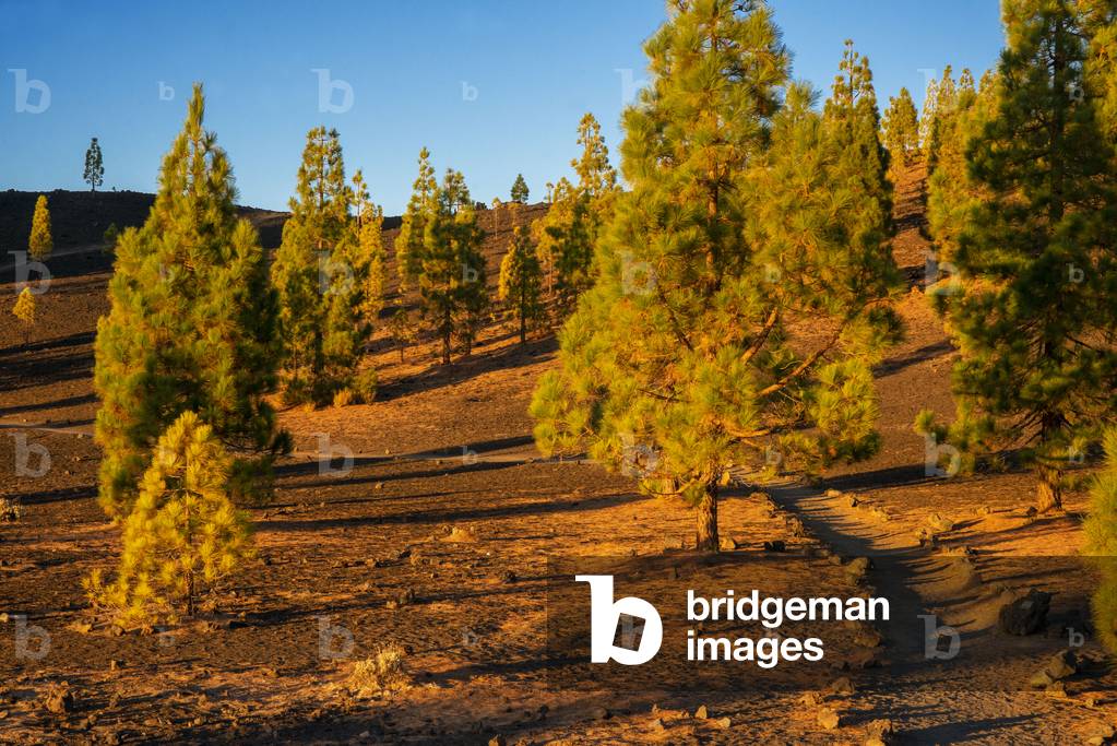 Mountain landscape at Las Canadas, Parque Nacional del Teide, Tenerife, Canary Islands, Spain (photo)