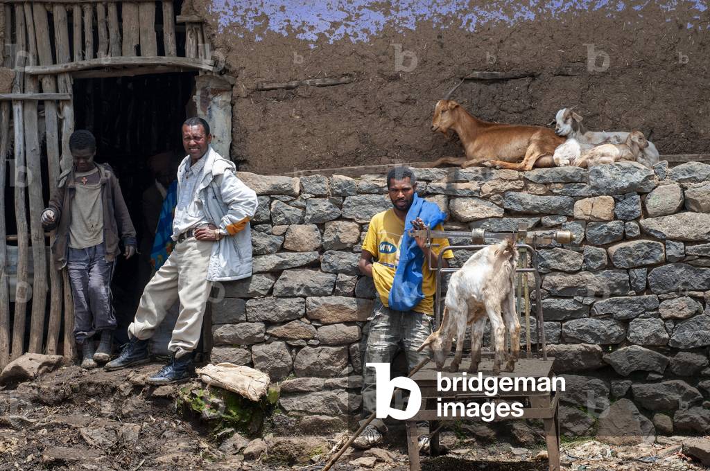 Market place, Debark, Simien Mountains, Northern Ethiopia (photo)