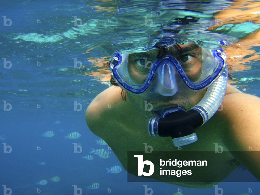 Diving underwater Phi Phi don island, Andaman Island, Thailand (photo)