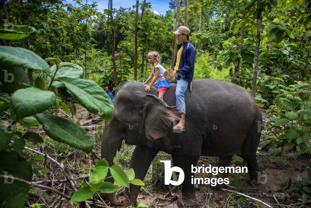 A tourist and mahout ride an Elephant ride in Elephant Village Sanctuary & Resort, near Luang Prabang, Laos (photo)