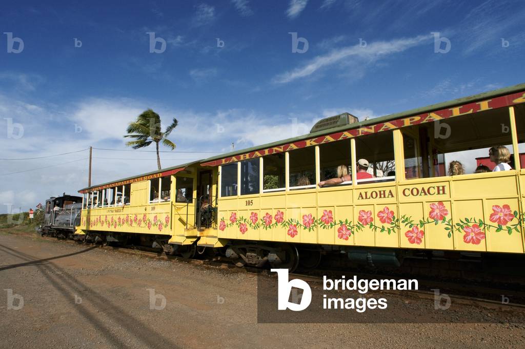 Sugar Cane Train, Maui, Hawaii (photo)