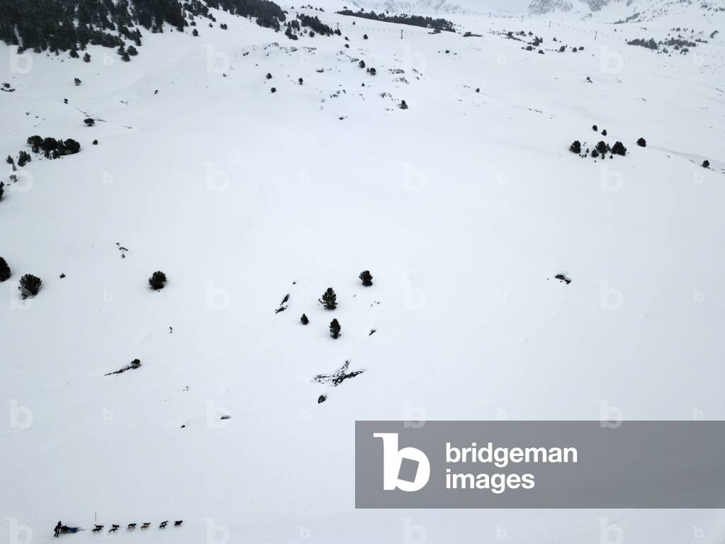 Husky sled tour, Baqueira Beret, Ski resort, Pyrenees, Aran Valley, Lleida, Catalonia, Spain (photo)