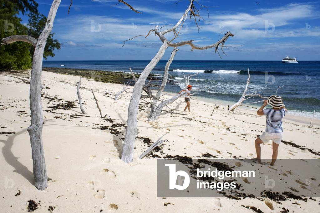 Tourists in the beach of Cousin island, Seychelles (photo)