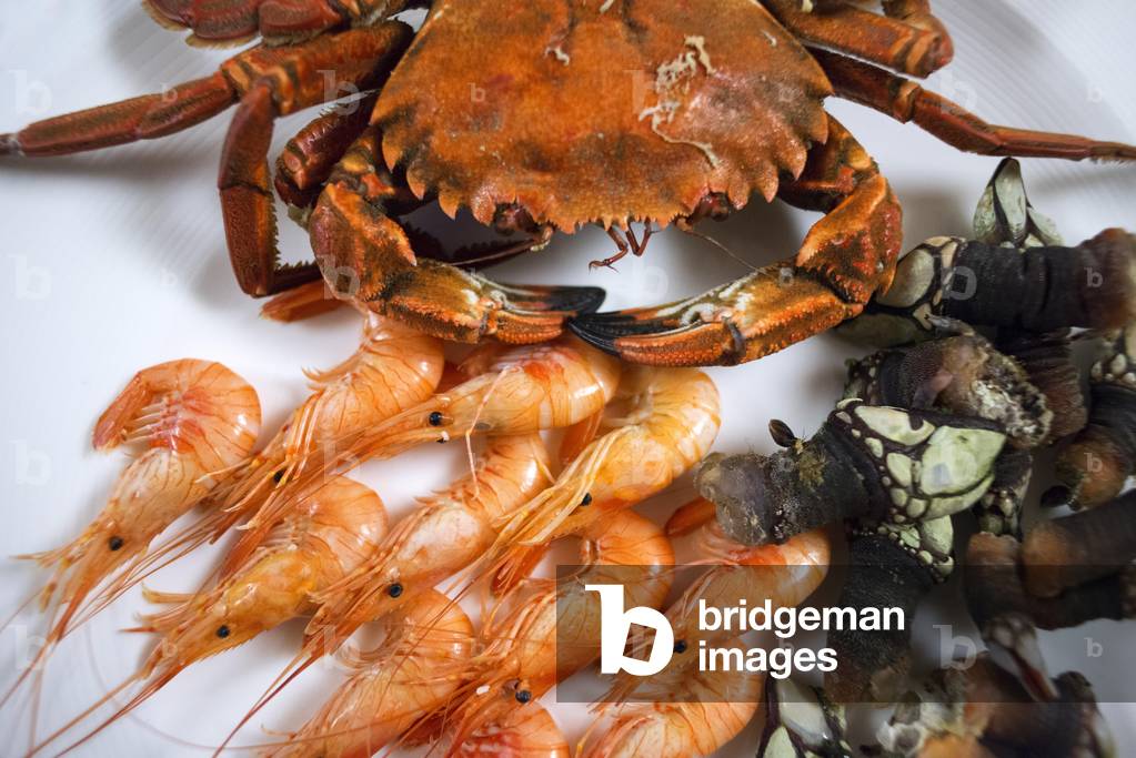 Dish of seafood in the Louzao Restaurant, Viveiro, Lugo, Galicia, Spain (photo)