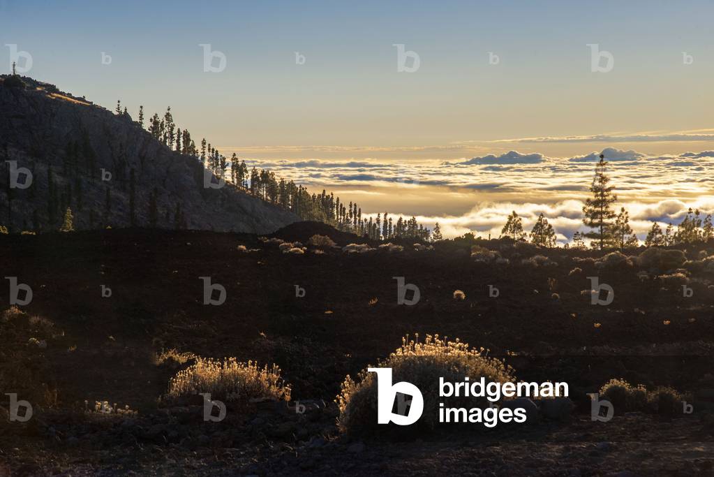 Mountain landscape at Las Canadas, Parque Nacional del Teide, Tenerife, Canary Islands, Spain (photo)