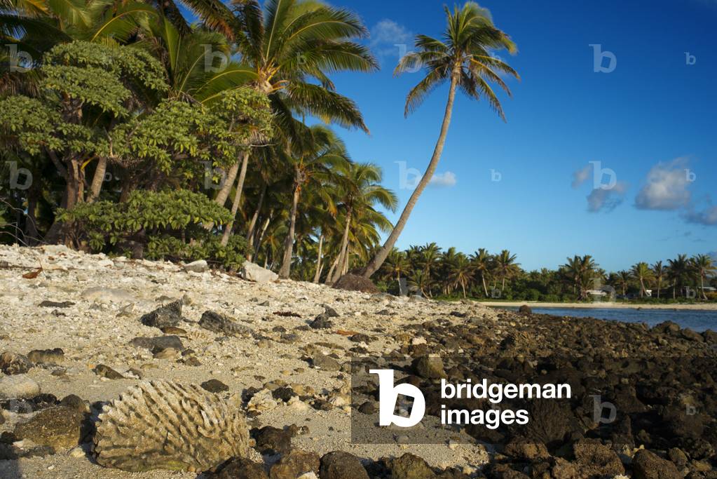 Beach at Aitutaki, Cook Island, Polynesia, South Pacific Ocean (photo)