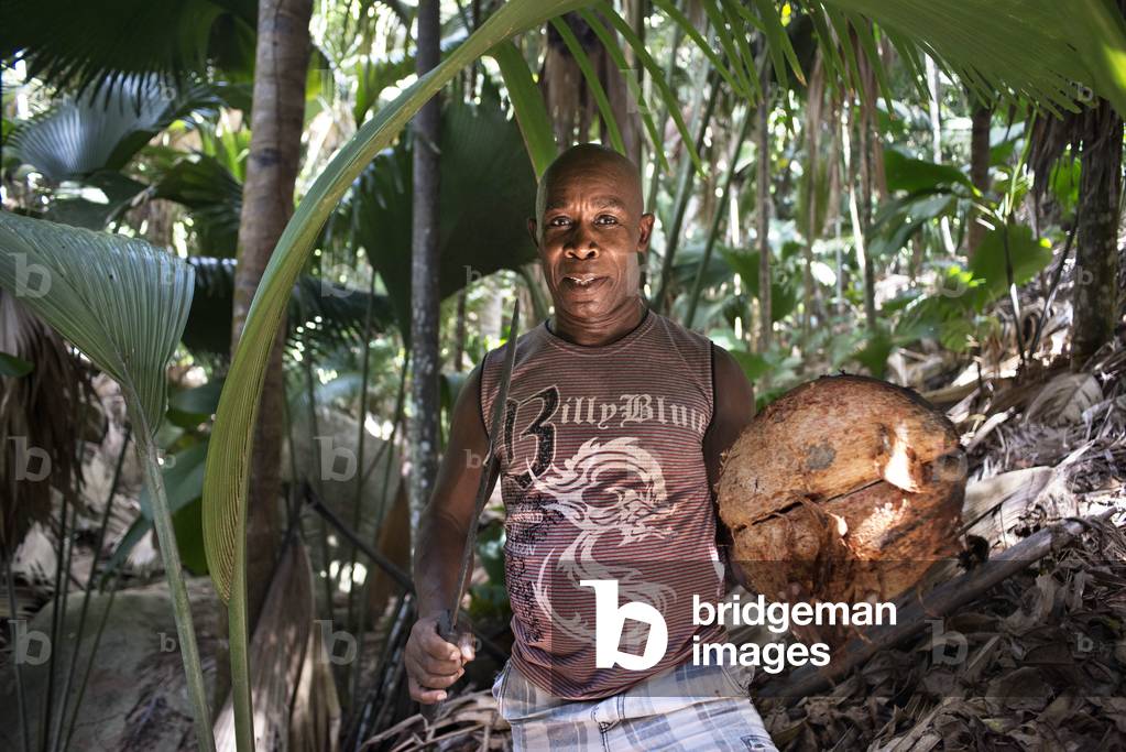 Vallee de Mai Nature Reserve, home of Coco de Mer, Praslin, Seychelles (photo)