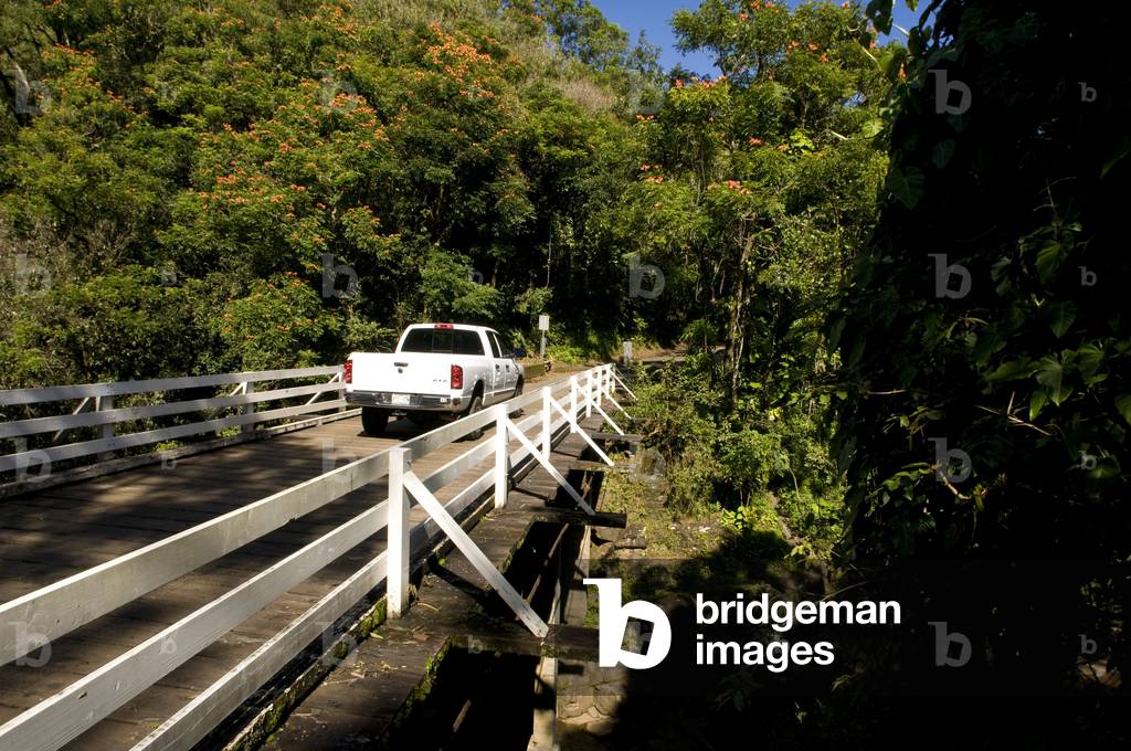 Pepe'ekeo scenic drive, Big Island, Hawaii (photo)