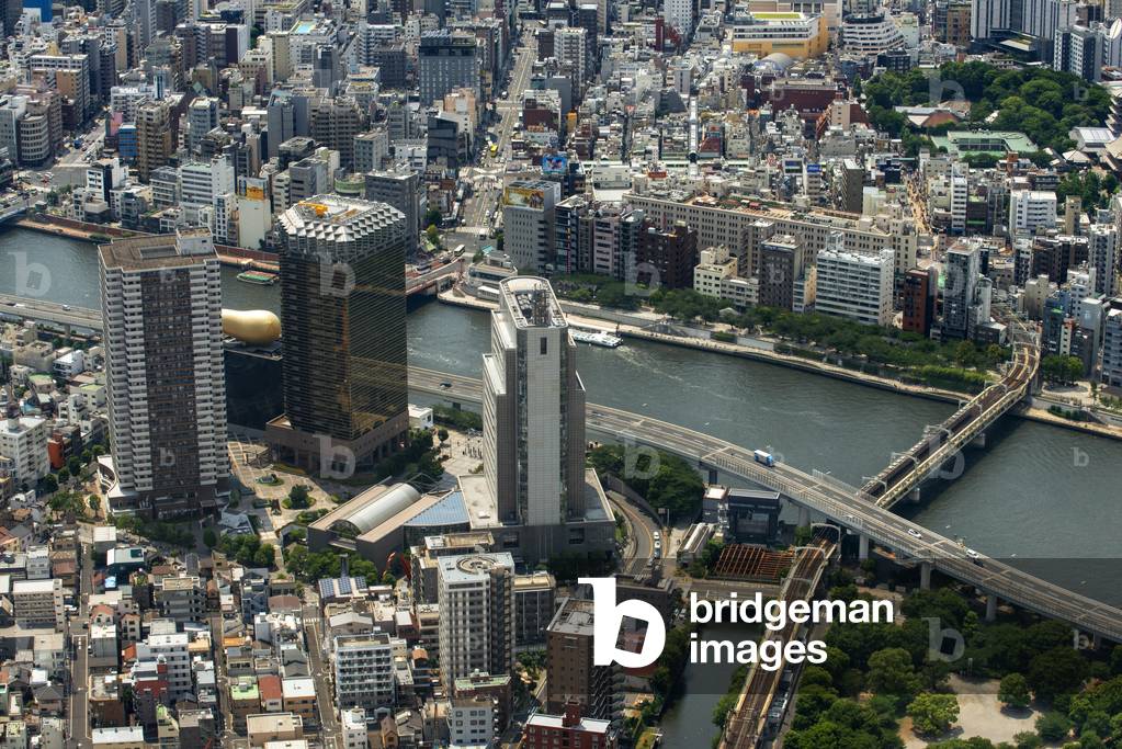 Panoramic modern city skyline bird eye aerial day view with tokyo skytree under dramatic glow in Tokyo, Japan, March 2020 (photo)