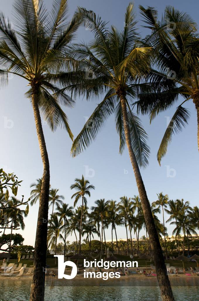 The lagoon at the Hilton Waikoloa Village, Big Island, Hawaii (photo)