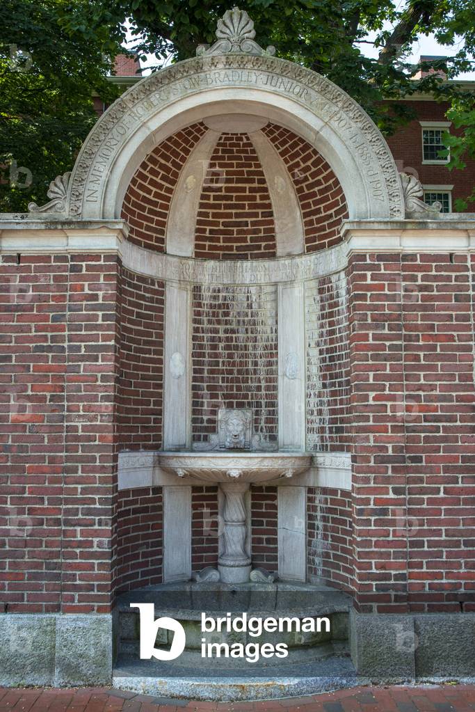 Fountain in Harvard university, Cambridge USA, 2021 (photo)
