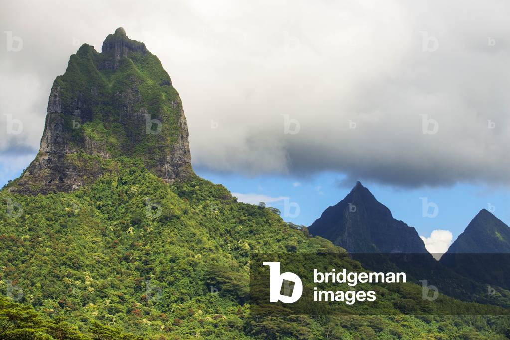 Peak, Highest peak, Mont Tohiea, 1207 m, Moorea, Society islands, Windward islands, French Polynesia, 2020 (photo)