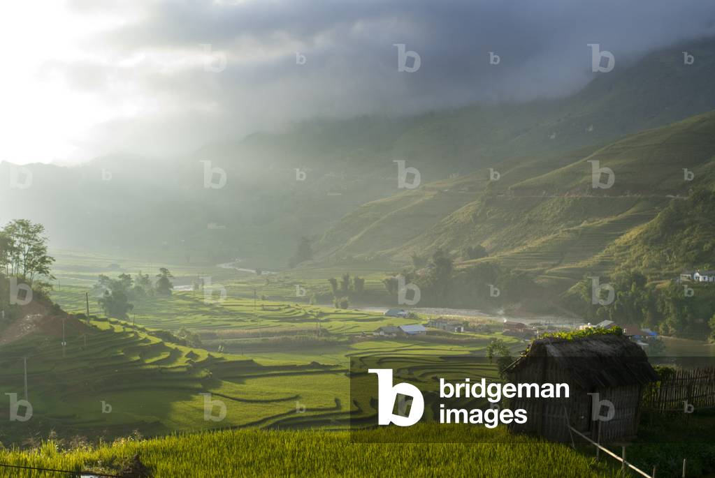 Sunset in the rice terraces nearby of Lao Chai village, Trekking Sapa to Lao Chai, Vietnam (photo)