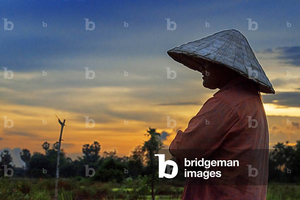 Woman in the ricefiel plantation near Pakse, Laos (photo)