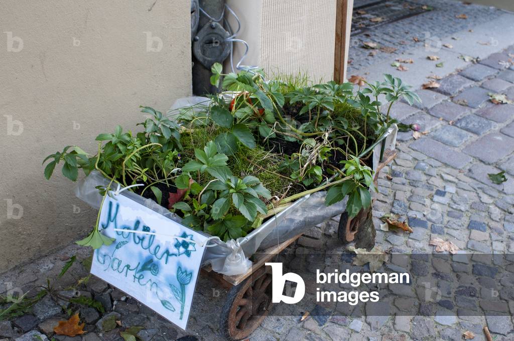 Garden mobile in Berlin Kollwitzplatz in Prenzlauer Berg in, Berlin, Germany (photo)