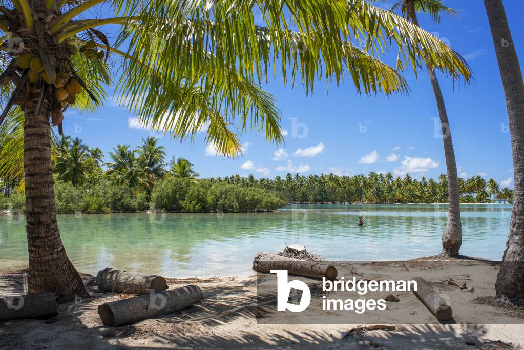 Tropical paradise seascape Taha'a island landscape, French Polynesia, Motu Mahana palm trees at the beach, Taha'a, Society Islands, French Polynesia, South Pacific, 2020 (photo)