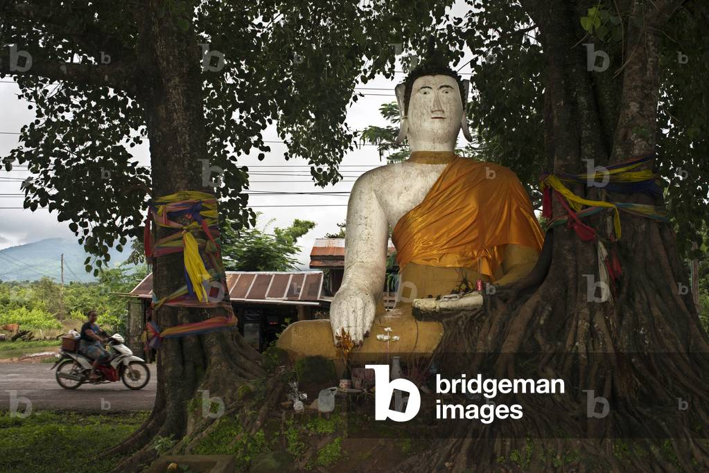 Buddha and Tree - near Wat Phu Champasak, Laos (photo)