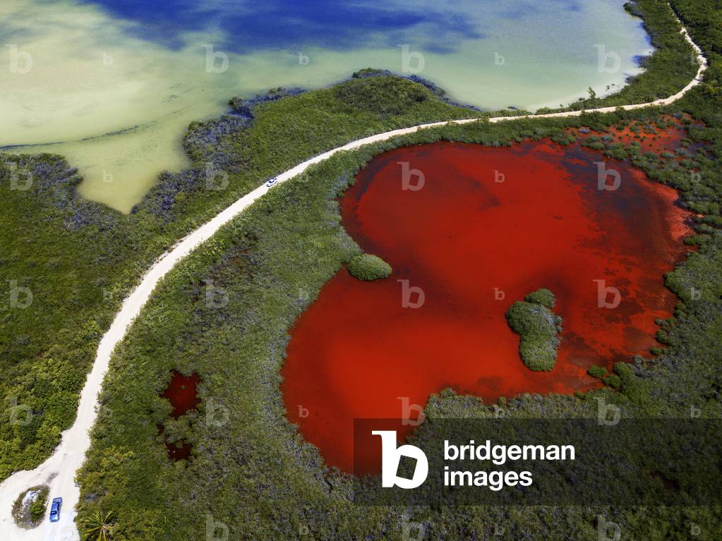 Aerial view of Punta Allen Sian Ka'an Reserve, Yucatan, Mexico, 2021 (photo)