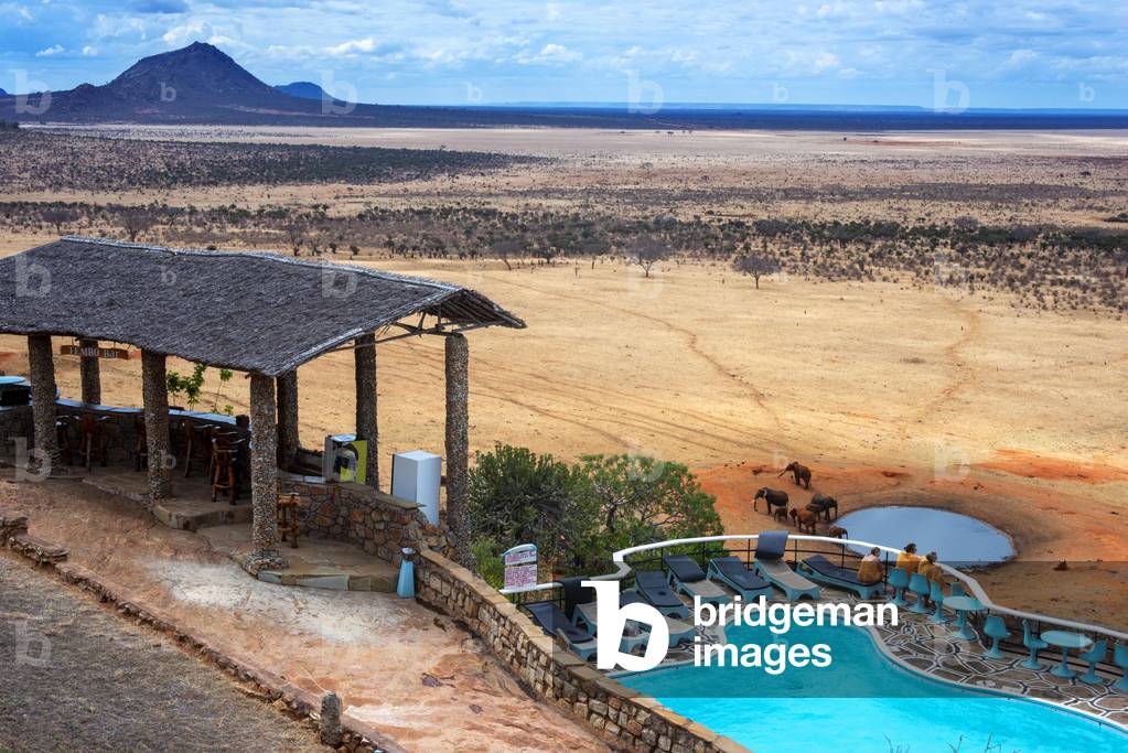 Guests looking over swimming pool to savannah, Voi Safari Lodge, Tsavo East National Park, Coast, Kenya, Elephants at a waterhole in front of Voi Safari Lodge Tsavo East National Park Kenya East Africa
, 2020 (photo)