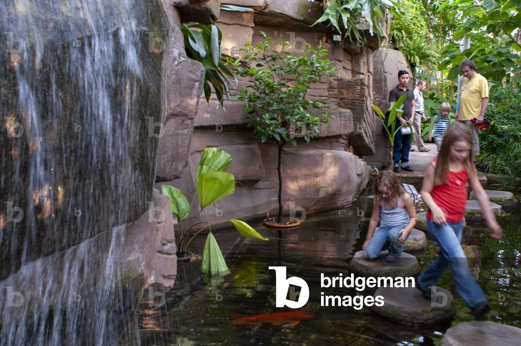 Inside Botanischer Garten Greenhouse, Berlin (photo)