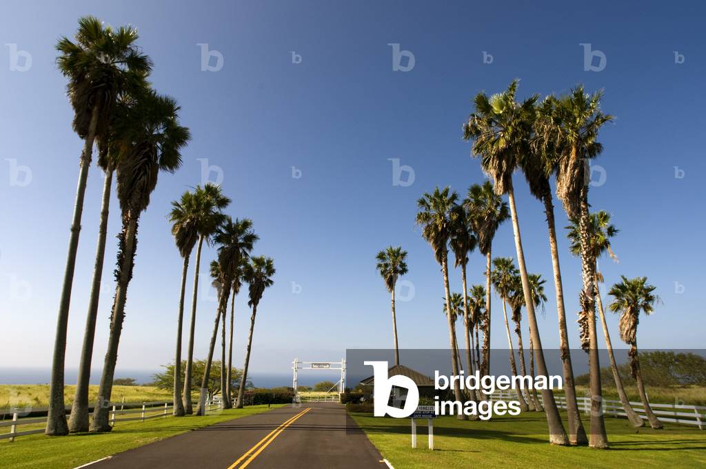 Puakea Bay Ranch, northern tip of the Big Island, Hawaii (photo)