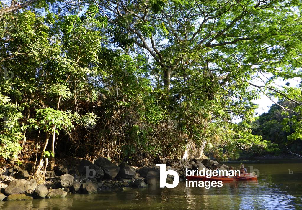 Kayaking in Isletas de Granada, islands in Lake Nicaragua, Central America, America (photo)