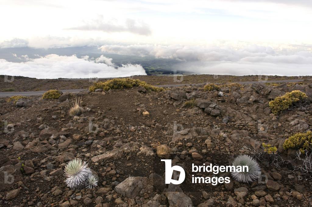 Cinder cones in the Haleakala National Park, Maui, Hawaii (photo)