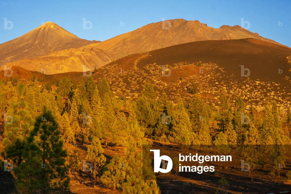 Mountain landscape at Las Canadas, Parque Nacional del Teide, Tenerife, Canary Islands, Spain (photo)