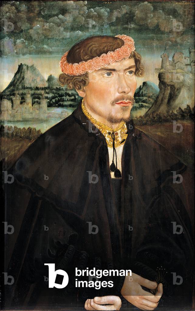 Portrait of a young man dressed as a bridegroom, 1535 (oil on panel)