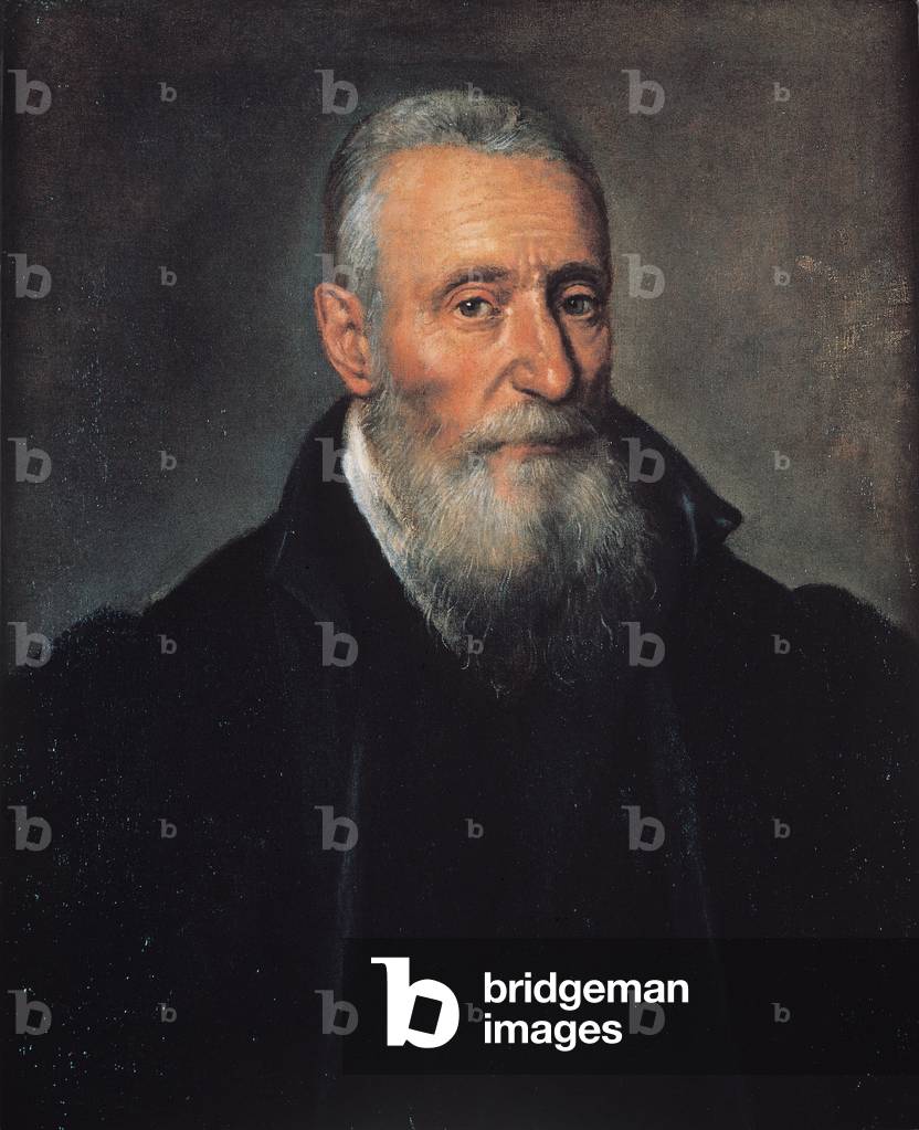 Portrait of a gentleman, 1579 (oil on canvas )