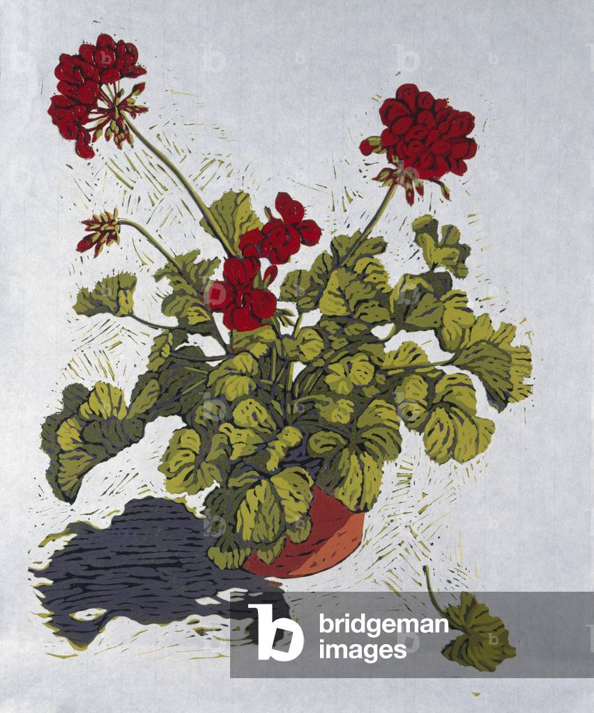 Geranium (colour woodcut)