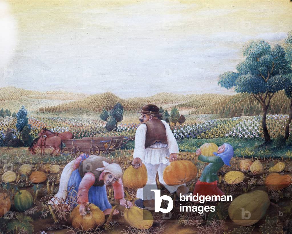 Raccolta del raccolto di frutta