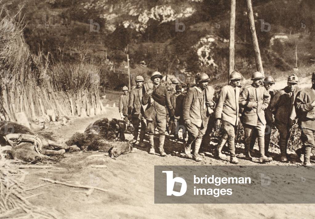 Transportation of captured Italian officers on the road to Woltschach (b/w photo)