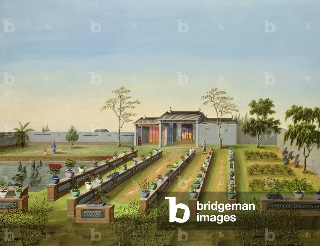 Nursery Garden, c.1820-40 (w/c on paper)