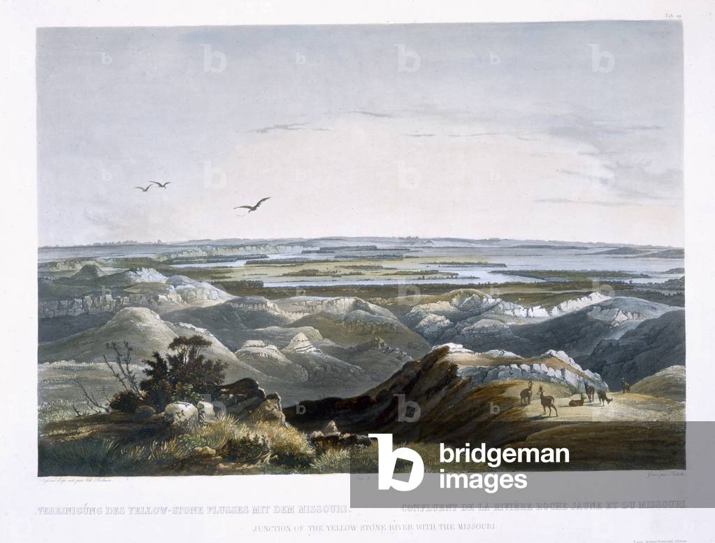 Junction of the Yellow Stone River with the Missouri, plate 29 from Volume 2 of 'Travels in the Interior of North America', engraved by Friedrich Salathe (1793-1858) 1844 (aquatint)