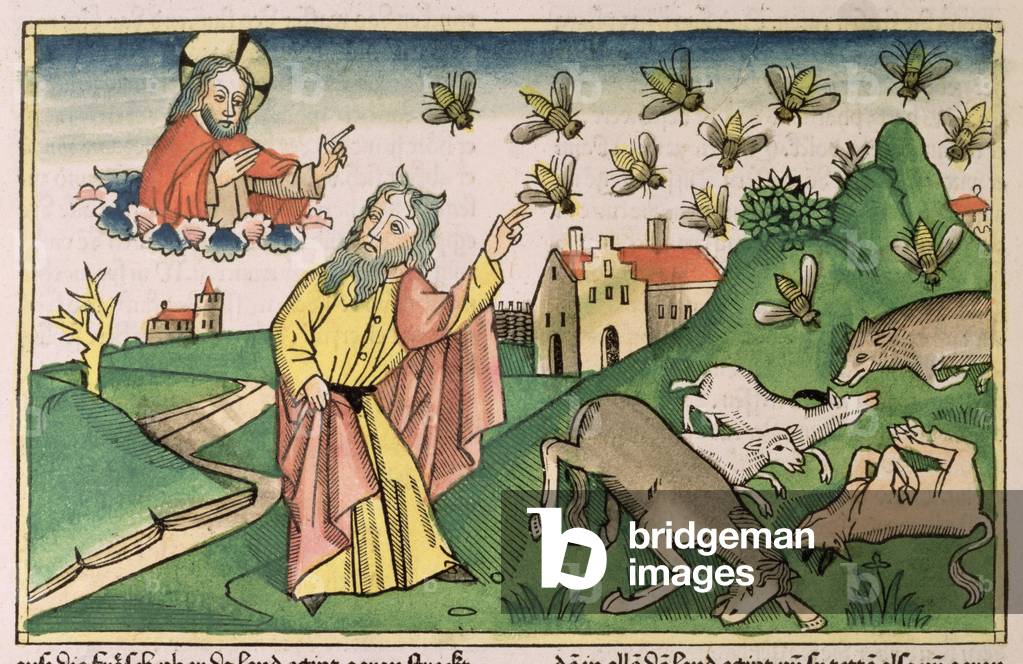 Exodus 8 20-32 Die sieben Plagen Ägyptens: Mose und der Schwarm der Fliegen, aus der “Nürnberger Bibel (Biblia
