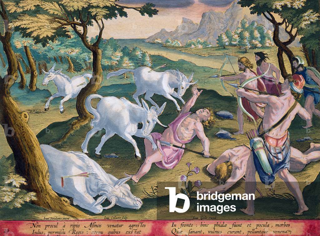 Unicorns on the Banks of the Indus, Hunted by Permission of the King, plate 29 from 'Venationes Ferarum, Avium, Piscium' (Of Hunting: Wild Beasts, Birds, Fish) engraved by Jan Collaert (1566-1628) published by Phillipus Gallaeus of Amsterdam (hand coloured engraving)