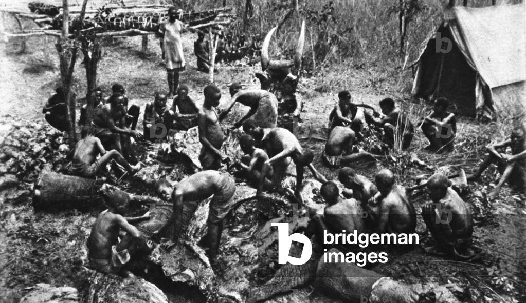 Killed for meat rations for our Rhodesian native troops, illustration from 'The Illustrated War News', September 1916 (b/w photo)