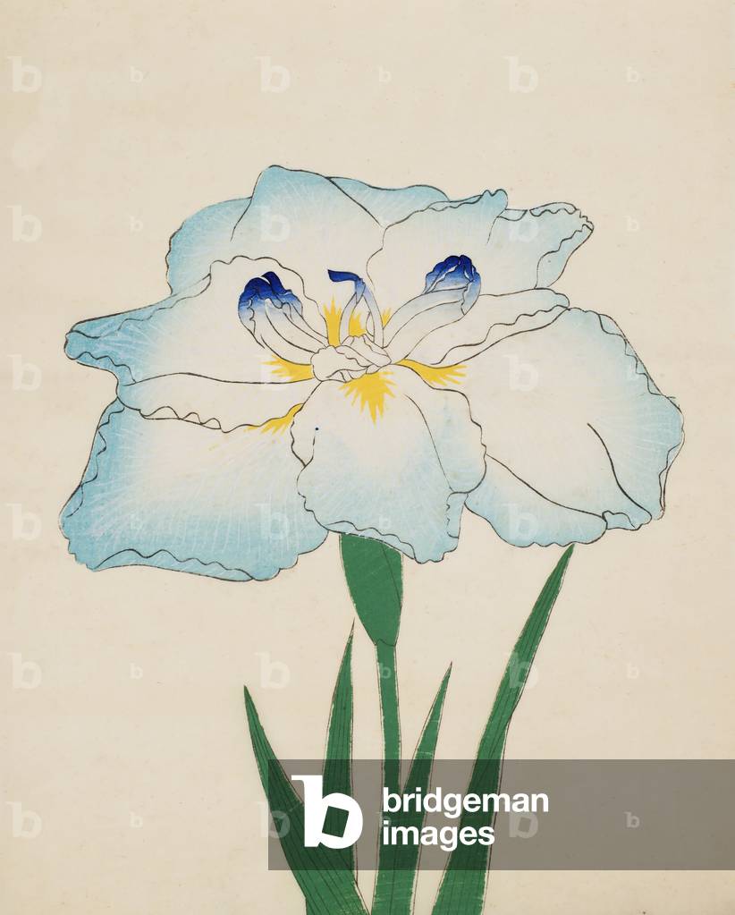 Issui-No-Gin, No. 34, 1890 (colour woodblock print)