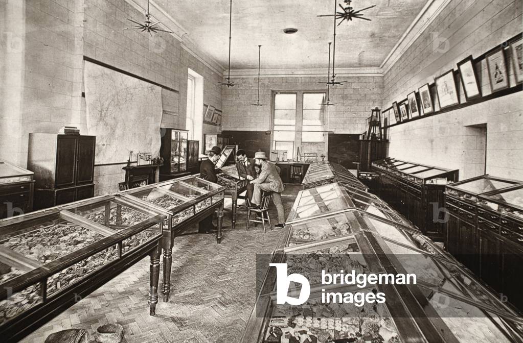 Museum, Camborne Mining school, illustration from ''Mongst mines and miners, or Underground Scenes by Flash-Light' by J.C. Burrows and William Thomas, pub. 1893 (sepia photo)