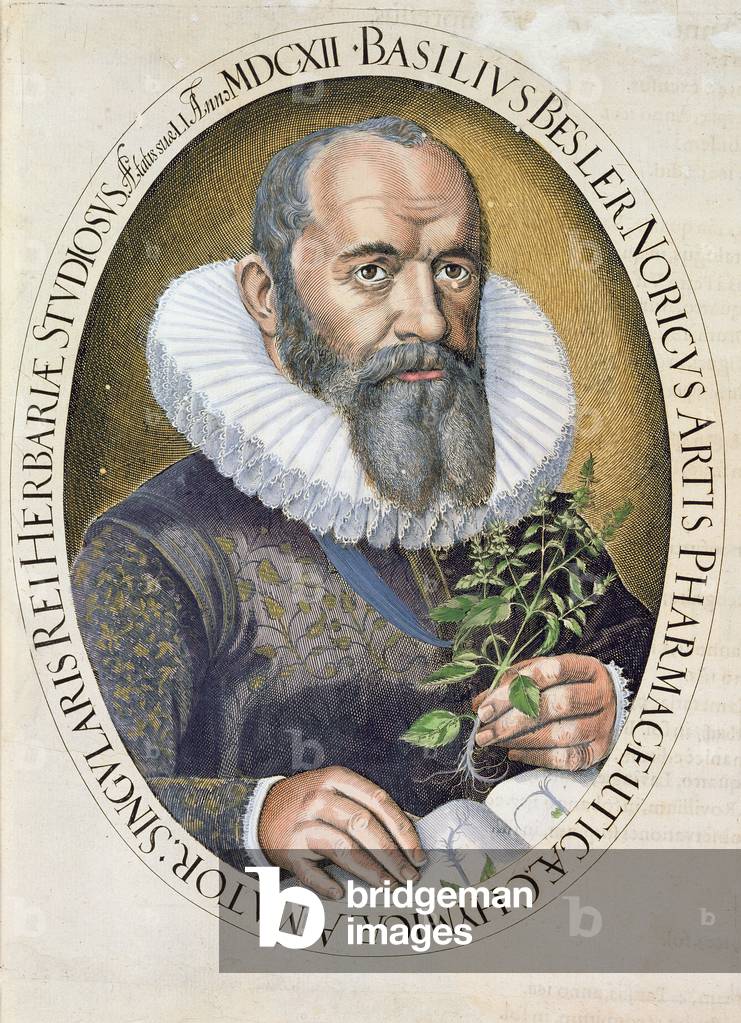 Portrait of Basil Besler (1561-1629) in 1612, from the 'Hortus Eystettensis', pub. 1613 (engraving)
