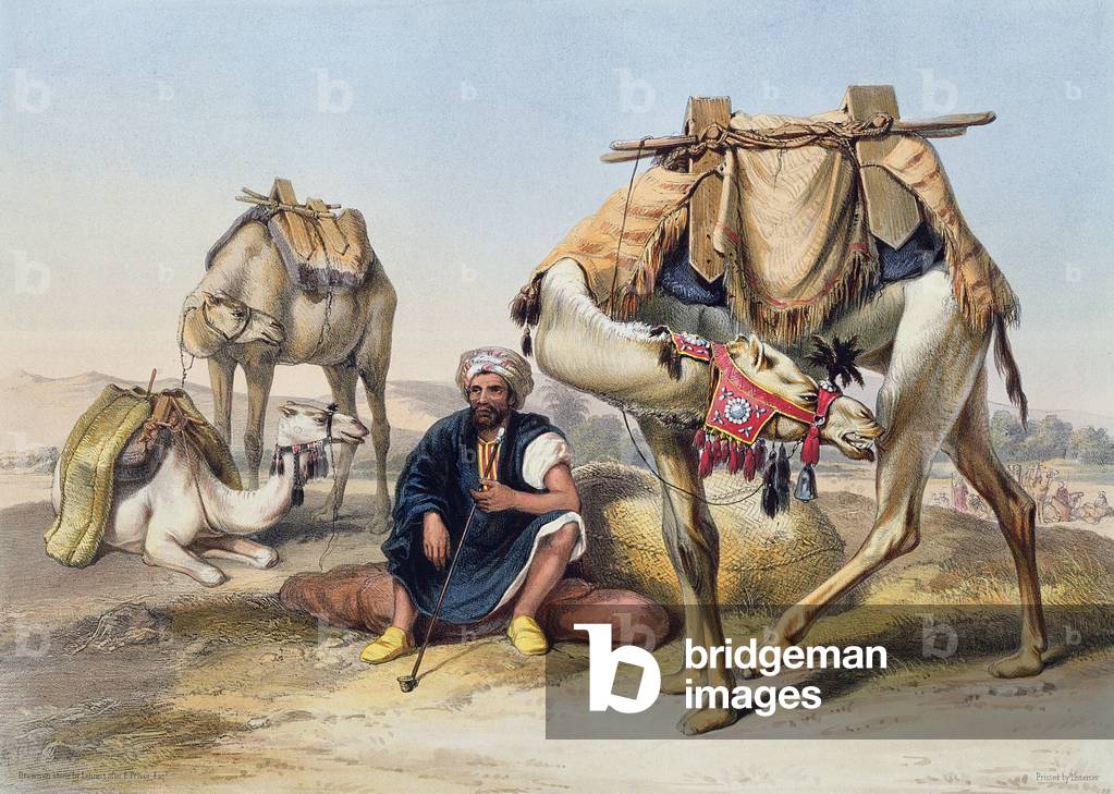 Kamele rasten im Sherkiyeh, Land von Goshen, Illustration aus „Das Tal des Nils“, Kupferstich von Lehnert, hrs