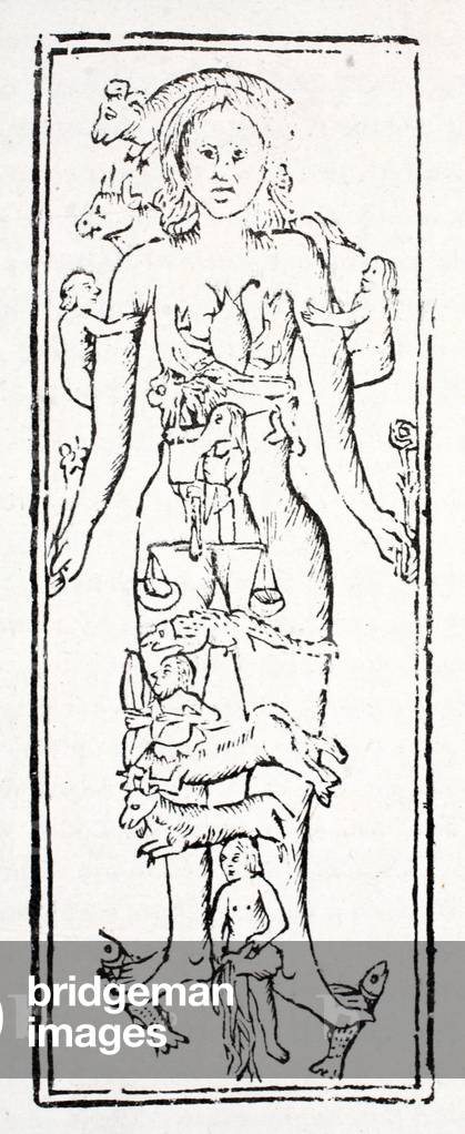 The parts of the body which control each Zodiac sign (litho)