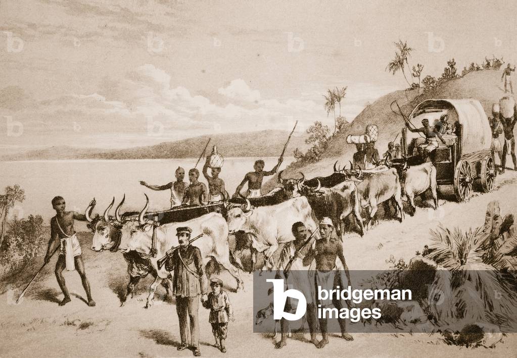 The arrival of Lake Ngami (litho)