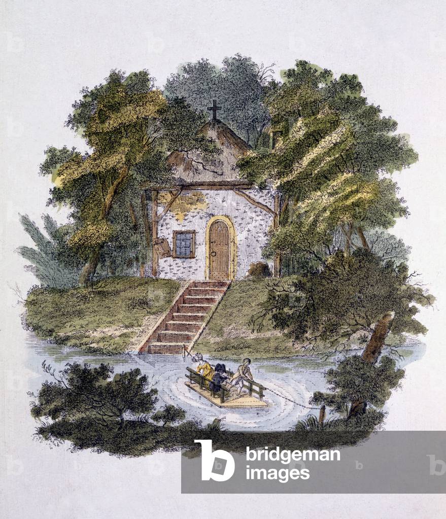 Illustration from 'Magazine of Garden Gems' by G. van Laar, published 1802 (colour litho)