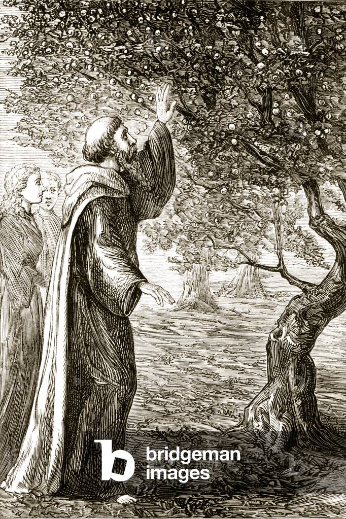 St. Columba changes bitter fruit into sweet, from 'The Trias Thaumaturga, or Three Wonder-Working Saints of Ireland', by Mary Cusack (1829-99) published c.1890s (litho) (b/w photo)
