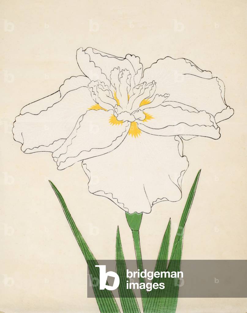 Bandai-No-Nami, No 1, 1890 (colour woodblock print)