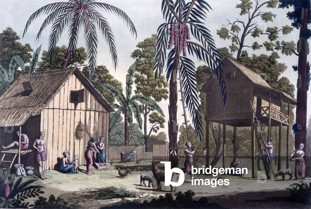 A native settlement in Sumatra, c.1820s-30s (coloured engraving)