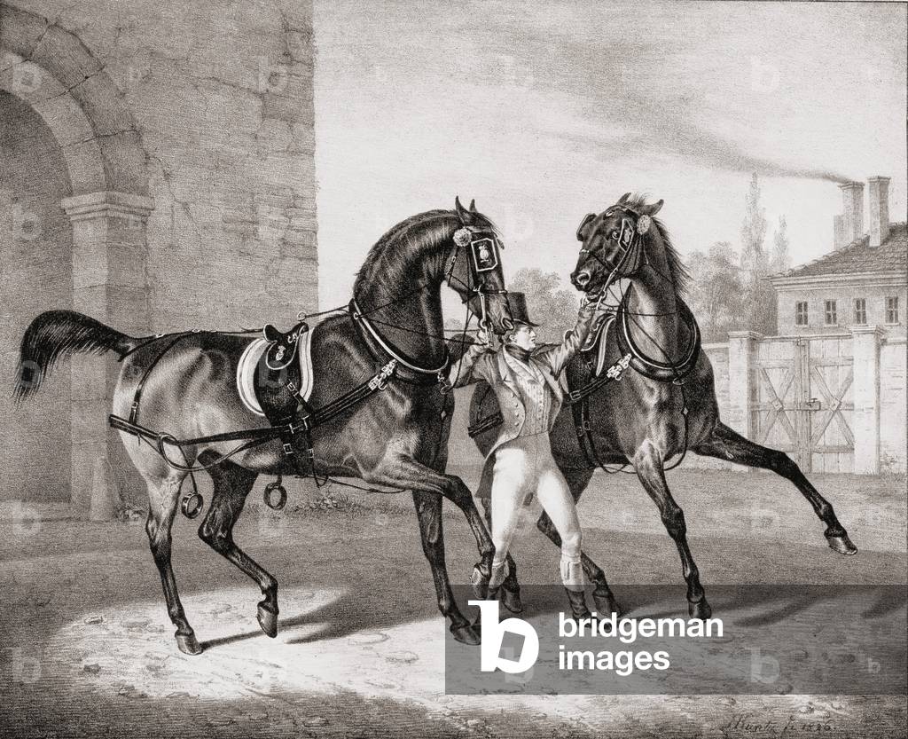 Carriage Horses for the King of England, 1836 (litho)