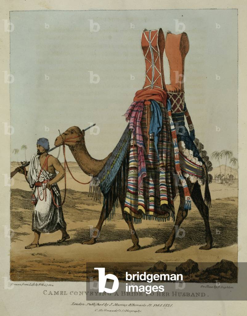Camel Conveying a Bride to her Husband, engraved by Denis Dighton (1792-1827) plate 16 from 'A Narrative of Travels in Northern Africa', pub. 1821 (litho)